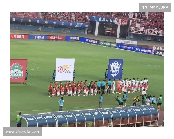 建业俱乐部的组织性质与社会功能在中国职业足球发展中的作用分析